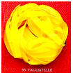 tagliatelle egg