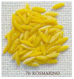 rosmarino